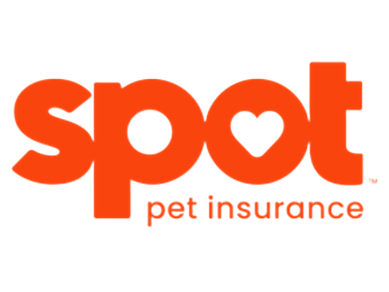 New-spot